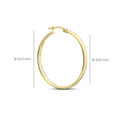 Boucles d'Oreilles Noa Serane | Or
